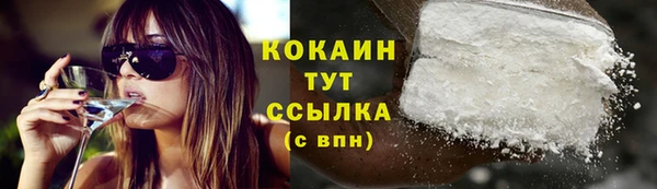 трава Арсеньев