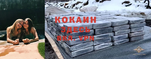 бошки Аркадак