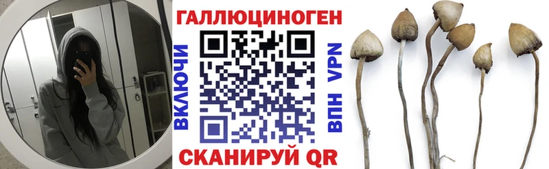 Галлюциногенные грибы Cubensis  Полесск 
